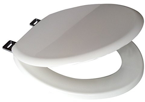 Emerald White Toilet Seat and Cover with Stainless Steel Hinges