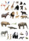 30 Stand Up Zoo Jungle Safari Animals Premium Edible Wafer Paper Cake Toppers Decorations