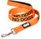 NO DOGS (Not good with other dogs) Orange Colour Coded 60cm 1.2m 1.8m Luxury Neoprene Padded Handle Dog Leads PREVENTS Accidents By Warning Others Of Your Dog In Advance (1.2m)