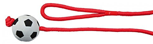 TRIXIE Ball aus Moosgummi am Seil, ø 6 cm/1,00 m, orange - 3307
