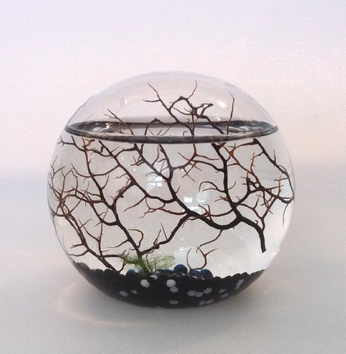 Original Ecosphere Kugel 16 cm schwarzer Kies !! Neu!! Miniaturwelt hinter Glas