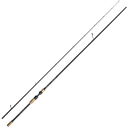 Jenzi Black Slash Pro Spin Spinnrute 6-18g, 2.10m