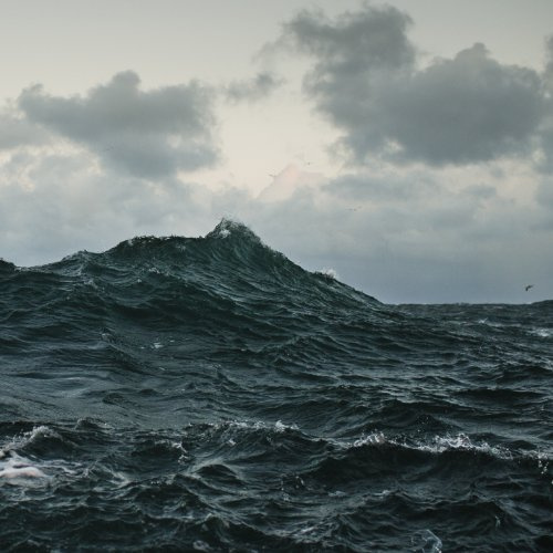 Jagjaguwar 52238