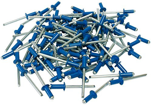 Cora 000116015 Kit de 100 rivets de fixation pour plaque d'immatriculation, Bleu