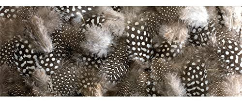 Plage Plumas Cabecero de Cama Adhesivo, Tela, Blanco y Negro, 160x3x60 cm