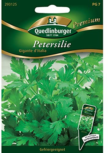 Petersilie Gigante d'Italia von Quedlinburger Saatgut