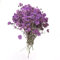 Lohill 100 Stück Getrocknete Blumen Trockenblumen Klein Baby’s Breath Blumen Echte Natur, Weiß und Zart, für DIY Kerze Harz Schmuck Nagel Kunst Basteln, Gypsophila, Babysbreath, Echte Blume (Lila)