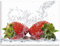ARTland Wanddeko Glasbilder Wandbild Glas Bild einteilig 80x60 cm Querformat Früchte im Wasser Obst Erdbeere Frucht Cocktails Bar Modern T5SP