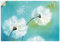 ARTland Wanddeko Wandtattoo selbstklebende Vinylfolie 100x70 cm Pusteblume Blumen Landhaus Shabby Chic Malerei Botanik Türkis T4RF