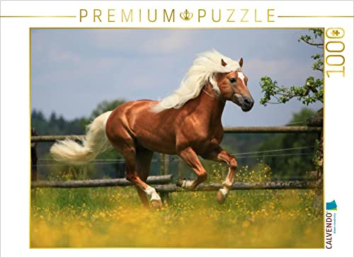 CALVENDO Puzzle Haflingerhengst - Weltreservesieger | 1000 Teile Lege-Größe 64 x 48 cm Foto-Puzzle für glückliche Stunden