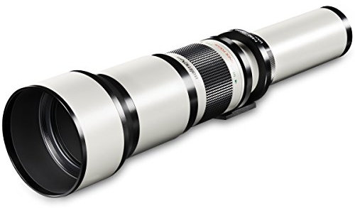 Walimex pro 650-1300mm 1:8-16 CSC Teleobjektiv für DSLR C-Mount - Manueller Fokus, Zoom-Teleobjektiv für Vollformat & APS-C Sensor, Ganzmetallfassung, inkl. Aufbewahrungstasche & Objektivdeckeln