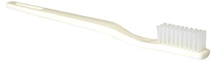 Box 24 Disposable Toothbrushes - Individually Wrapped