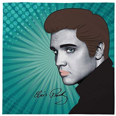 L&S PRINTS Lightenstein Elvis-Design, weiche Fleece-Decke