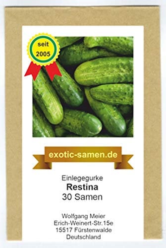 Einlegegurke Restina F1 Hybride - mehltauresistent - bitterstofffrei - 30 Samen