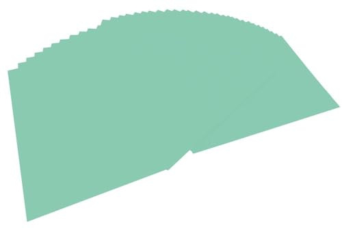 Folia Coloured Paper A4 100 Sheets