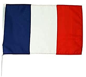 AZ FLAG - Bandiera della Francia per Decorazione Auto con Attacchi in PVC e Sistema di Fissaggio - Bandiera da Auto Francese - 100% Poliestere - 50g - 45x30 cm