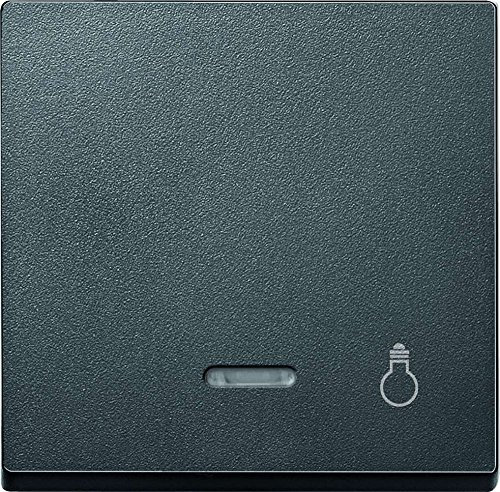Merten 430914 Wippe mit Kontrollfenster und Aufdruck Licht, anthrazit, System M