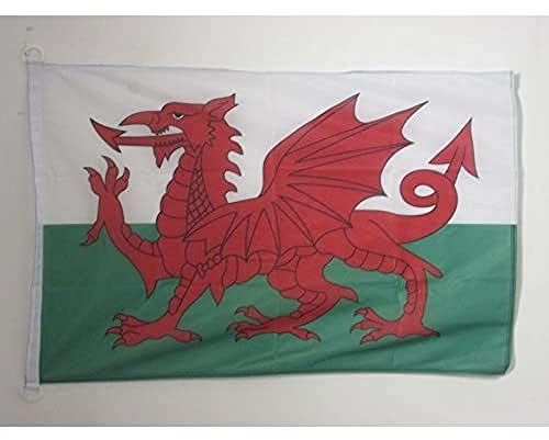 AZ FLAG - Flagge Wales - 90x60 cm - Walisische Fahne 60 x 90 Cm Aussenverwendung - Flaggen