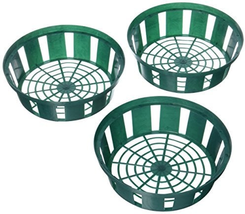 ROMULUS 917119 Blumenzwiebelpflanzschale 22 cm rund im 3er-Set