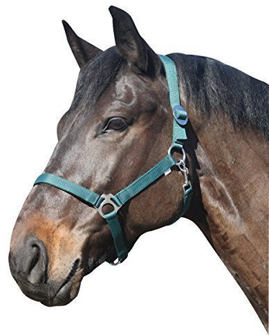 Eldorado Halfter Standard - grün - Shetty