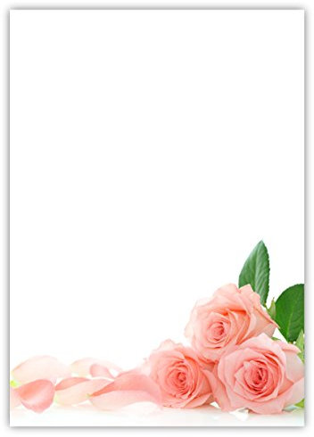 Motiv Briefpapier (rosa Rosen-5024, DIN A4, 25 Blatt). Einseitig bedrucktes Briefpapier, sehr gut beschreibbar, Motivpapier für alle Drucker/Kopierer geeignet Motiv rosa Rosen pink Blumen Rosenblüten