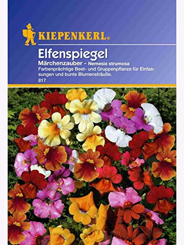 Nemesia strumosia Elfenspiegel Märchenzauber