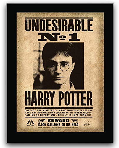 The Noble Collection Harry Potter Poster mit Holzbefestigung, Motiv: Zaubereiministerium gesucht, Belohnung, Wandkunst, Harry-Potter-Filmset, Filmrequisiten, Geschenke für Erwachsene
