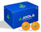 JOOLA 44280 Unisex – Erwachsene Training 40+ Tischtennisbälle, 120er Orange, One-Size