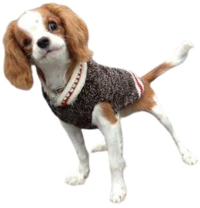 Chilly Dog Boyfriend Sweater, X-Small