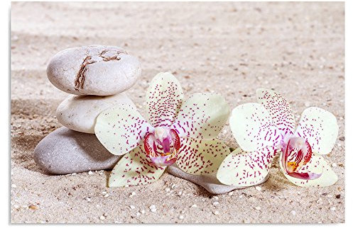 Feeby Impression Sur Toile Orchidée Galets 50x40 cm Tableaux Tableau Mural Image Moderne Photo Décoration Murale Artistique Photographie Design Chambre Salon Cuisine Zen Blanc Beige Rose