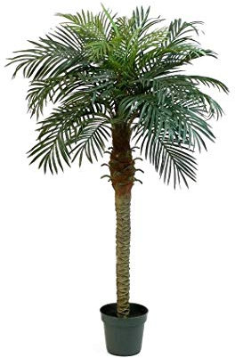 artplants.de Palmier Phoenix Artificiel, 21 Palmes, 150cm - Arbre synthétique
