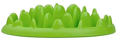 Northmate Mini Gamelle pour Chien Vert (29 x 22,5 x 7 cm)