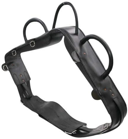 AMKA Voltigiergurt Cheval Warmblut mit runden Griffen und 2 Beinschlaufen, schwarz 057/88
