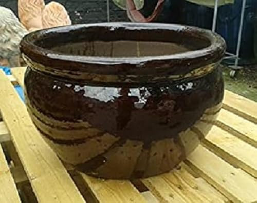 terracotta-toepfe-de Schöne Pflanzschale/Blumentopf ca. 33 cm Durchmesser aus Dunkelbraun glasiertem Steinzeug Garten Deko Blumenkübel Pflanztopf Mediterran