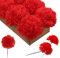 Larksilk Rote Seidennelken-Picker, künstliche Blumen für Hochzeiten, Dekorationen, DIY-Dekor, 100 Stück, 8,9 cm Nelkenköpfe mit 12,7 cm Stielen