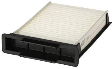 Hengst E2906LI - Filtro, Aria Abitacolo