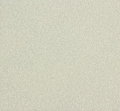 Erismann Vliestapete Eterna Tapete 5797-37 579737 Uni hellgrau