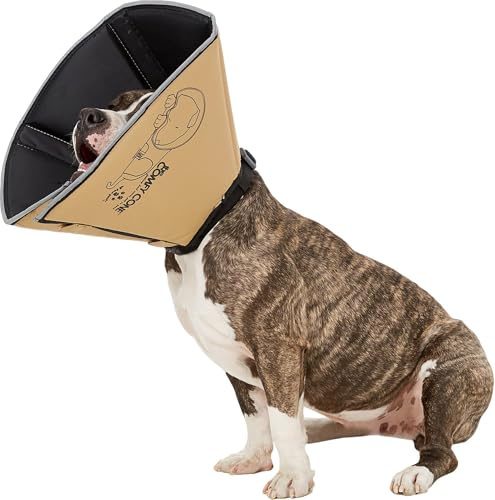 All Four Paws „The Comfy Cone“ Halskrause für Haustiere