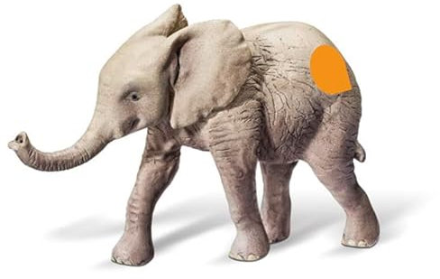 tiptoi® Afrikanisches Elefantenkalb