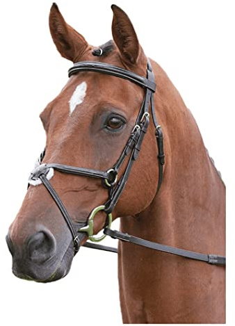 Salisbury Brackley Brida para caballo muserola cruzada Negro negro Talla:Pony