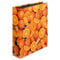 Motivordner diverse Motive zur Auswahl Ordner maX.file A4 Innenspiegel sw Rückenbreite 8 cm (3, Orangen)