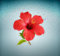 Akachafactory Aufkleber Hibiskus-Pflanze