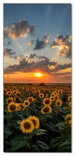 Wallario Selbstklebende Türtapete Sonnenblumenwiese vor Wolken mit Sonnenuntergang - Türposter 93 x 205 cm Abwischbar, rückstandsfrei zu entfernen