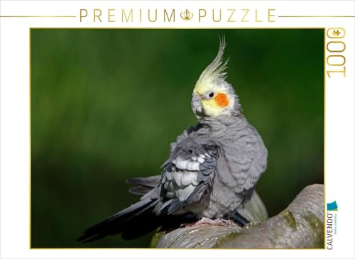 CALVENDO Puzzle Nymphensittich | 1000 Teile Lege-Größe 64 x 48 cm Foto-Puzzle für glückliche Stunden