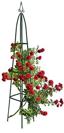 1a-Handelsagentur Support en acier pour Palissage Plantes Grimpantes, Env. 200 x 24,5 x 24,5 cm