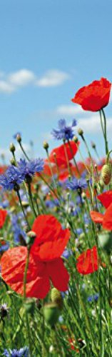 1art1 Blumen Wildblumen-Wiese Mit Mohn- Und Kornblumen, 1-Teilig Fototapete Poster-Tapete 250x79 cm