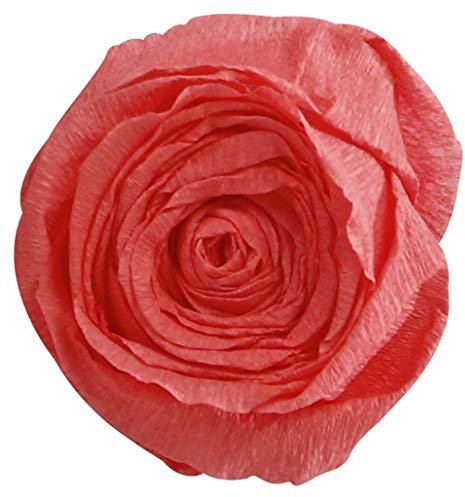 Clairefontaine 903039C Packung mit 10 Bögen Krepppapier, 2,5 x 0,5m, ideal für kreativen Hobbies, 1 Pack, lachs