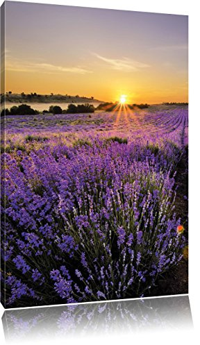 Pixxprint Lavendelfeld in Frankreich, Größe: 80x60cm, Leinwandbild, fertig gespannt, Wandbild, Dekoration, Kunstdruck, kein Poster