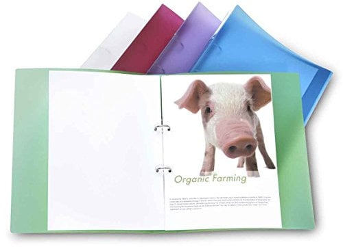 Rapesco 1044 ECO Ringordner, 2 Ringe, 40mm Rücken, A4, Sortierte Farben, 10er Pack