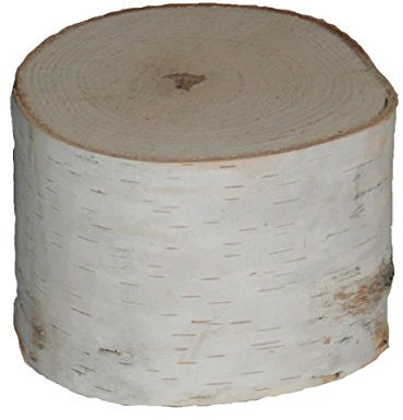 Birke Säulen (7,6 cm)